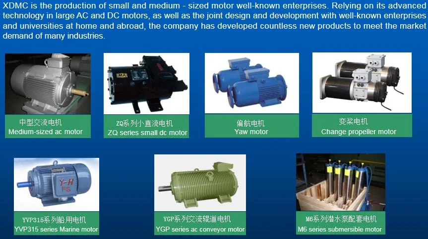 High Voltage YR YRKK Series Three Phase Synchronous Motors