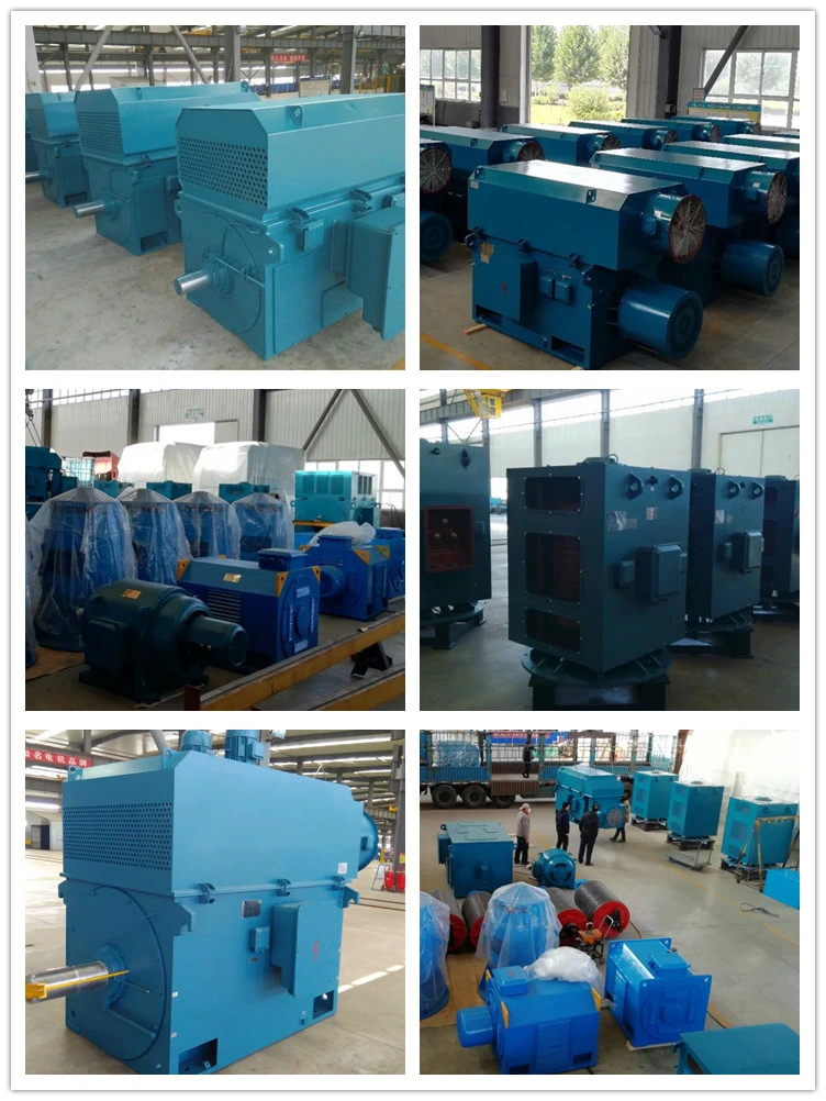 YR YRKK YRKS Series large Medium Voltage High Voltage Wound Rotor Slip Ring Motor 185kw-5600kw