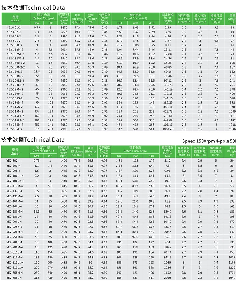 Y2/ Ye2 /Ye3 Series Three Phase High Efficiency Electric Motor