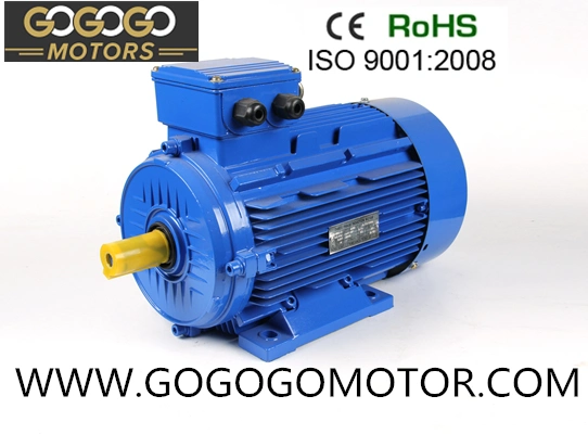 Ys 90L Series Three Phase Asynchronous Motor