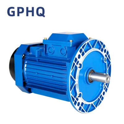 Gphq MS シリーズ電動モーター、CE 承認アルミニウムボディ、AC モーター、電動モーター